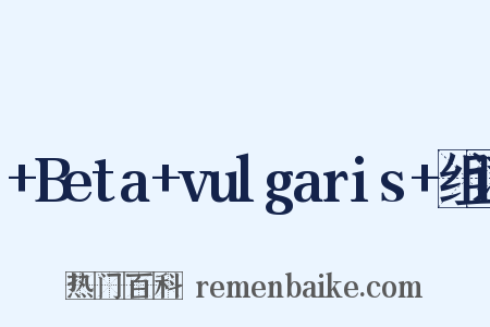 +Beta+vulgaris+组词是什么意思的图片